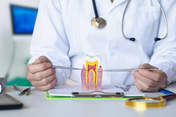 Best Knocked-Out Tooth Emergency  in Lake Riverside, CA